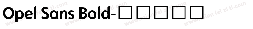 Opel Sans Bold字体转换
